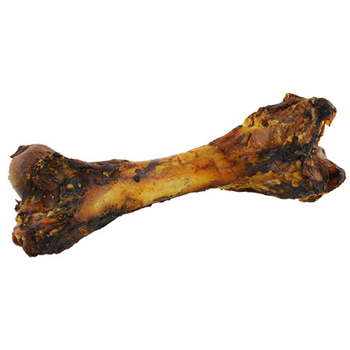 #16 Pork Femur Bone