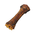 Shank Bone (Beef Bone)