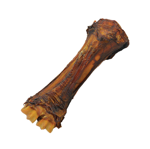 Shank Bone (Beef Bone)