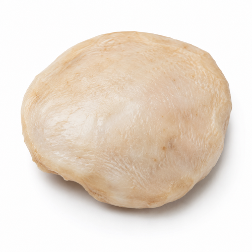 Knee Cap
