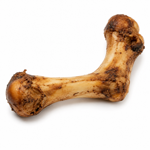 L Bone
