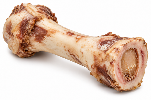 Pork Femur