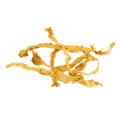 Turkey Tendons