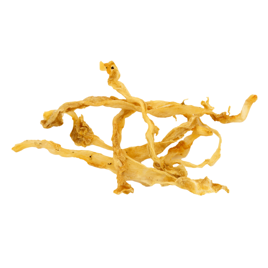 Turkey Tendons
