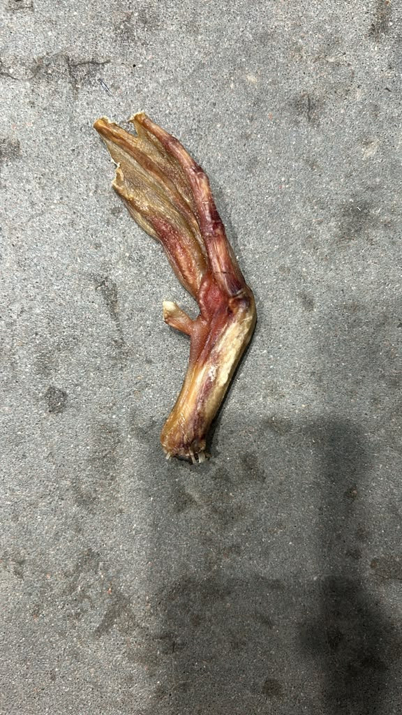 #22 Duck Feet
